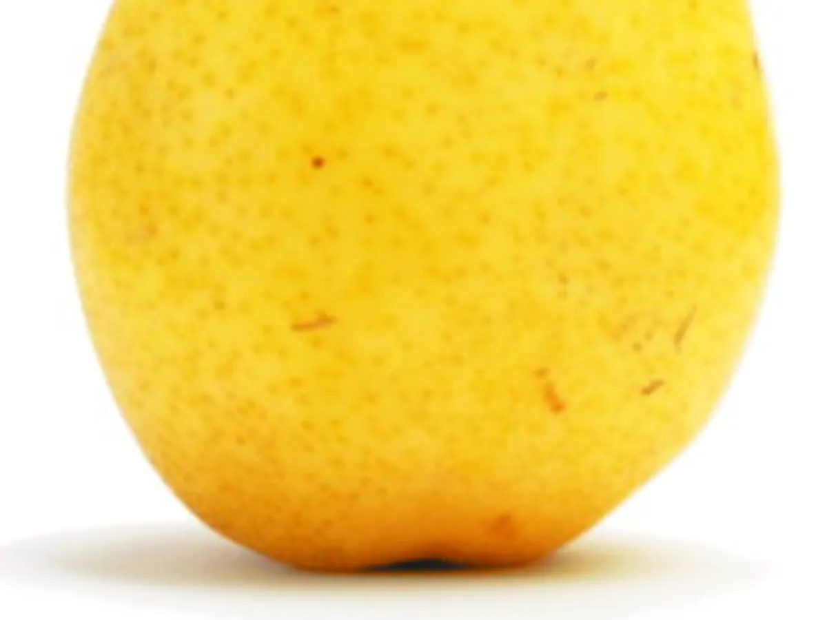 Дива круша (Pyrus pyraster), снимка на растението